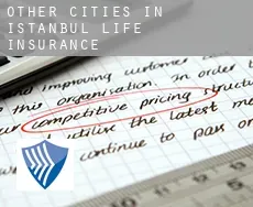 Other cities in Istanbul  life insurance