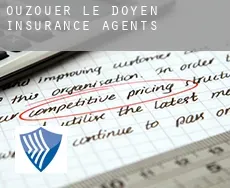 Ouzouer-le-Doyen insurance agents