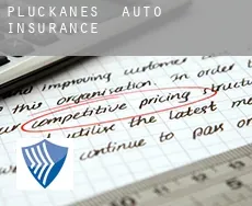 Pluckanes  auto insurance