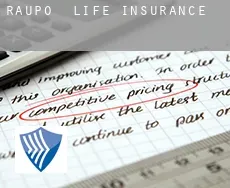 Raupo  life insurance
