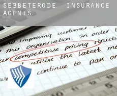 Sebbeterode  insurance agents