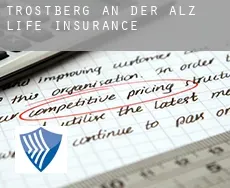 Trostberg an der Alz  life insurance
