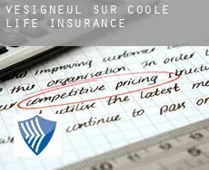 Vésigneul-sur-Coole  life insurance