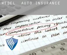 Wedel  auto insurance