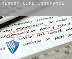 Yerköy  life insurance