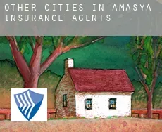Other cities in Amasya  insurance agents