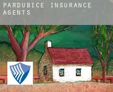 Pardubice  insurance agents