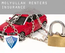 Molyullah  renters insurance