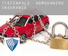 Tiefenpölz  homeowners insurance