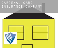 Cardenal Caro  insurance company