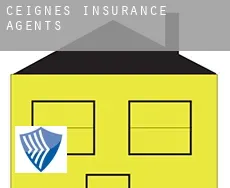 Ceignes  insurance agents