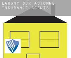 Largny-sur-Automne  insurance agents