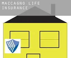 Maccagno life insurance