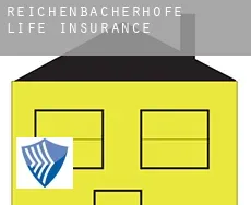 Reichenbacherhöfe  life insurance