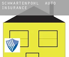 Schwartenpohl  auto insurance