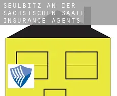 Seulbitz an der Sächsischen Saale  insurance agents