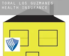 Toral de los Guzmanes  health insurance