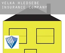 Velká Hleďsebe  insurance company