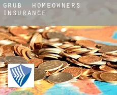 Grub  homeowners insurance