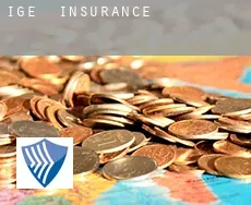 Igé  insurance