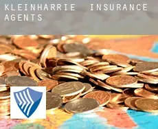 Kleinharrie  insurance agents