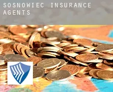 Sosnowiec  insurance agents