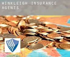 Winkleigh  insurance agents