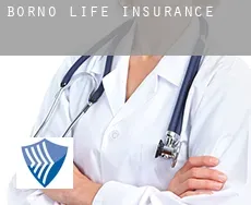 Borno  life insurance