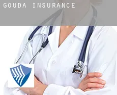 Gouda insurance