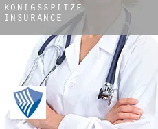 Königsspitze  insurance