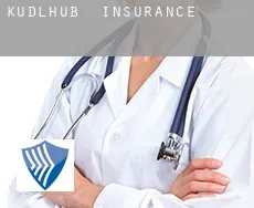 Kudlhub  insurance