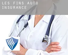 Les Fins  auto insurance