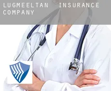 Lugmeeltan  insurance company