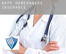Napo  homeowners insurance