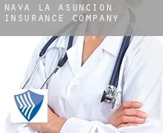 Nava de la Asunción insurance company