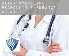 Saint-Sylvestre-Pragoulin  insurance agents