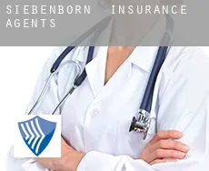 Siebenborn  insurance agents