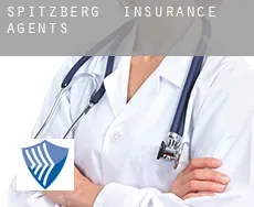 Spitzberg  insurance agents