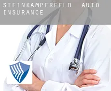 Steinkämperfeld  auto insurance