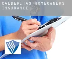 Calderitas  homeowners insurance