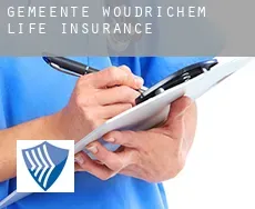 Gemeente Woudrichem life insurance