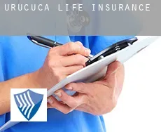 Uruçuca  life insurance