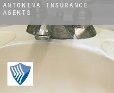 Antonina insurance agents