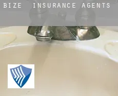Bize  insurance agents