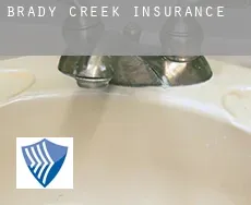 Brady Creek  insurance