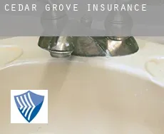 Cedar Grove  insurance