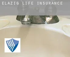 Elazığ  life insurance