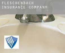 Fleschenbach  insurance company