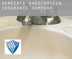 Gemeente Waddinxveen  insurance company