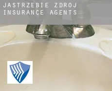 Jastrzębie Zdrój  insurance agents